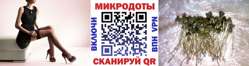 Галлюциногенные грибы Cubensis  OMG как войти  Кяхта 