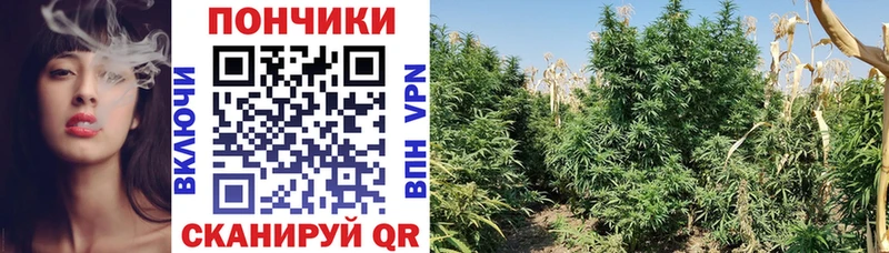 сайты даркнета состав где найти наркотики Кяхта Конопля гибрид